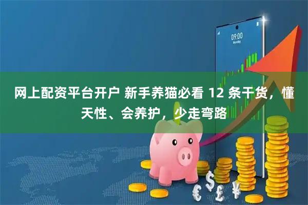 网上配资平台开户 新手养猫必看 12 条干货，懂天性、会养护，少走弯路